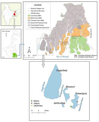 Analyzing scenarios and designing initiatives toward just transitions: coproducing knowledge with(in) the dried fish sector in the Indian Sundarbans